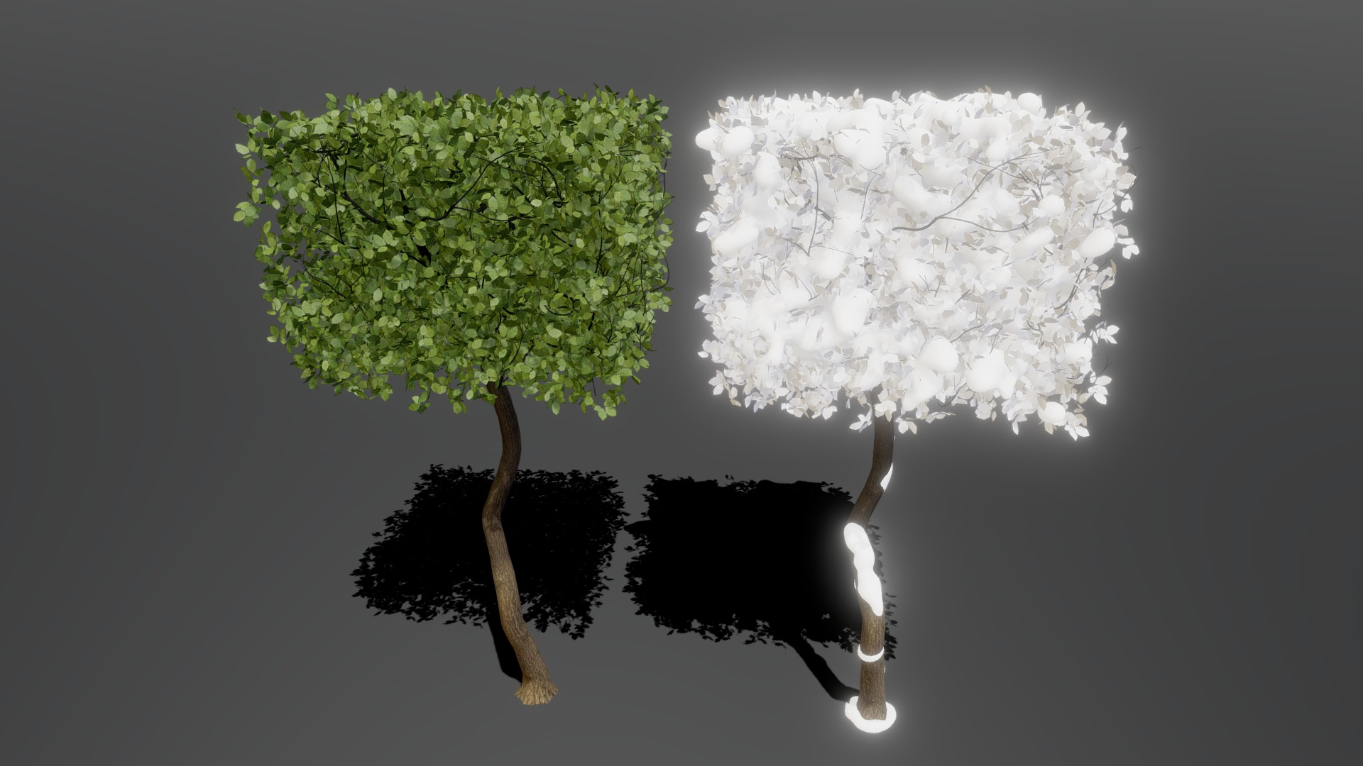 3D model Seasonal Trees - This is a 3D model of the Seasonal Trees. The 3D model is about a tree with white flowers.
