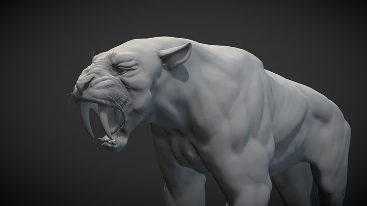 Sabertooth Tiger aka Smilodon 3D Model