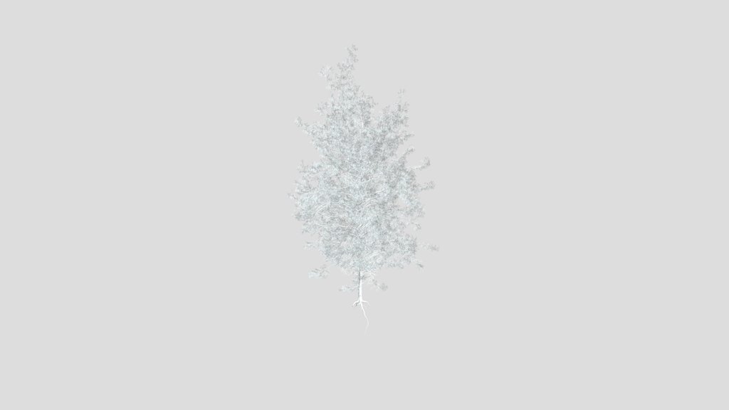 Sj Wintery Pine Tree