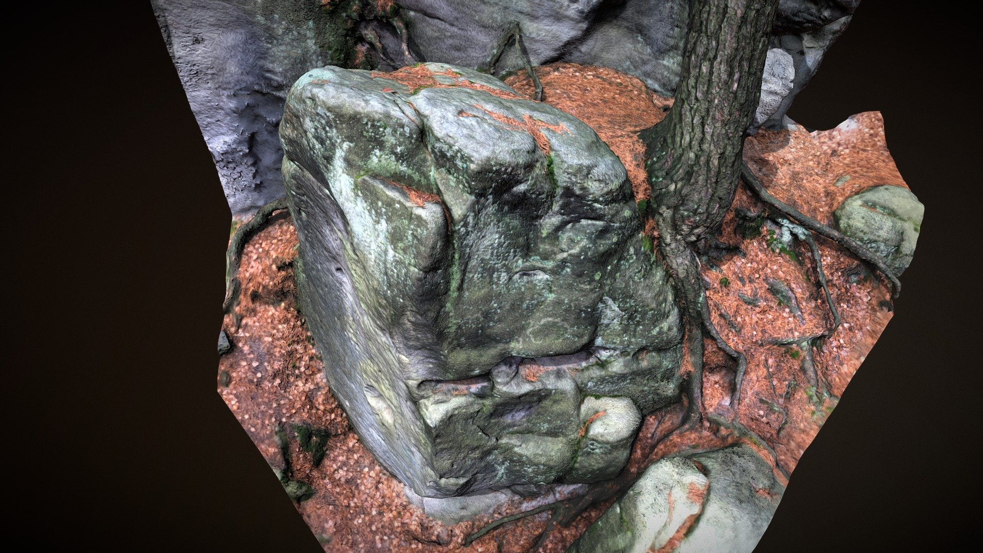Boulder with Roots - 3D model by Tomáš Musílek (@parleur) [623688d ...