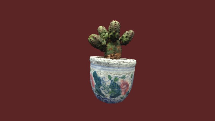 Cactus 3D Model