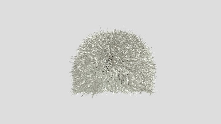 Papaha of Khabib Nurmagomedov (UFC Figher) 3D Model