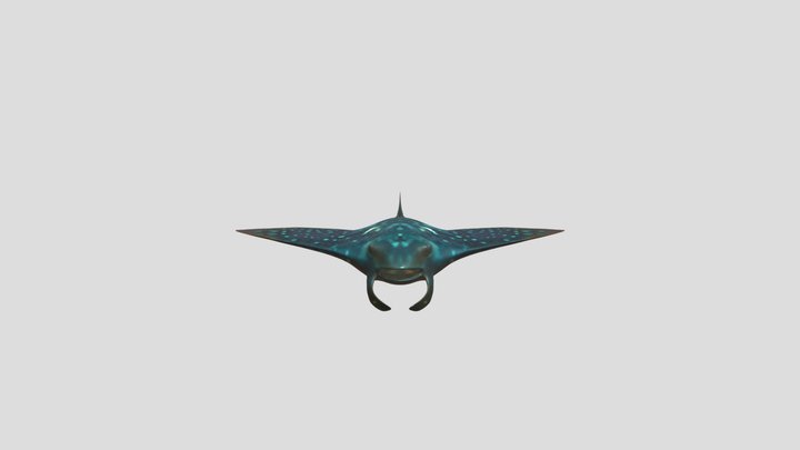 A spotted stingray 3D Model