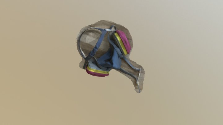 Cropped Decimated Mask 3D Model
