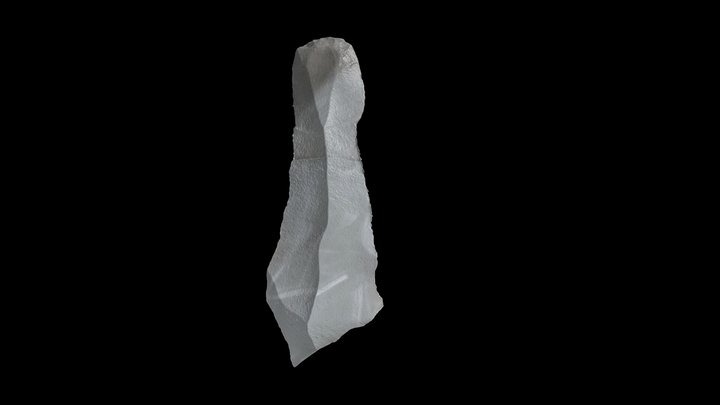 Experimental Archaeology: Broken flint blade 3D Model