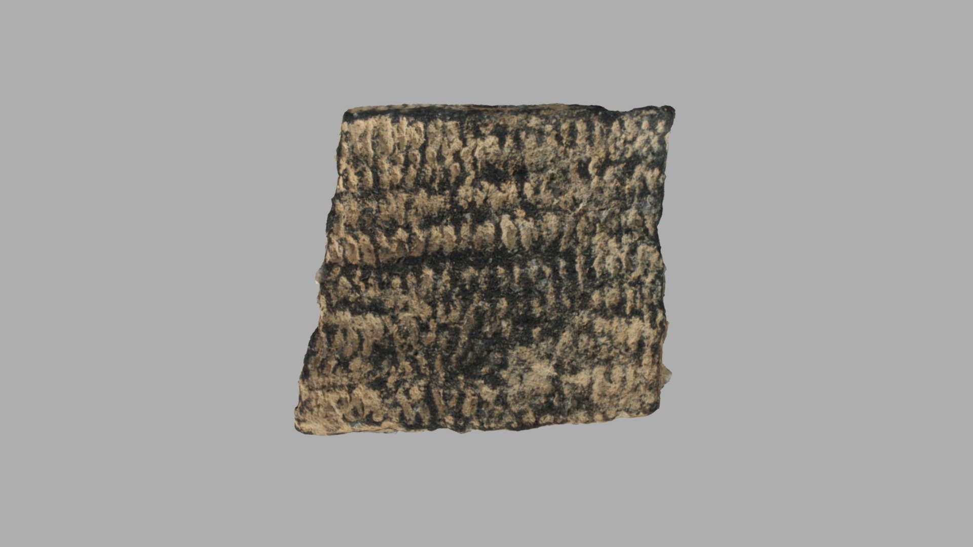 Clements Fabric Marked Rimsherd with Punctations