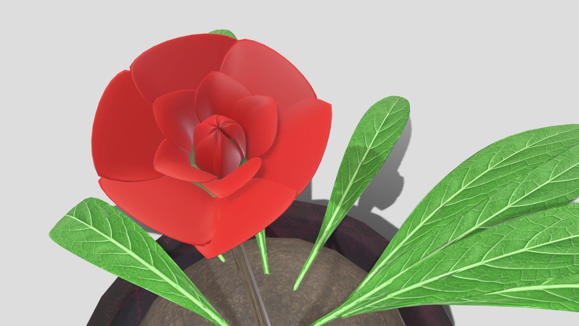 Plant