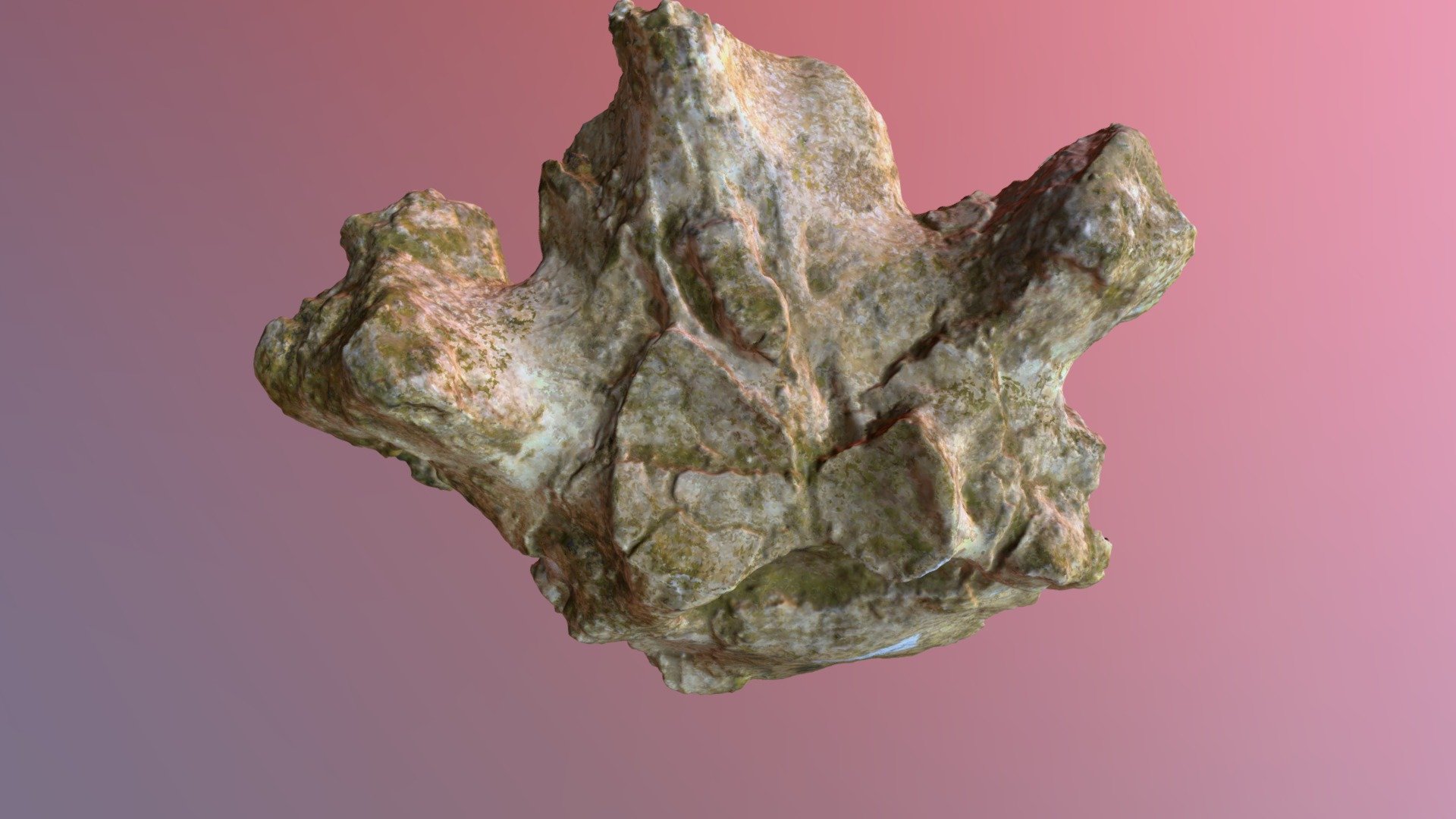 Pathological Mastodon Vertebra (VCU_3D_2896)