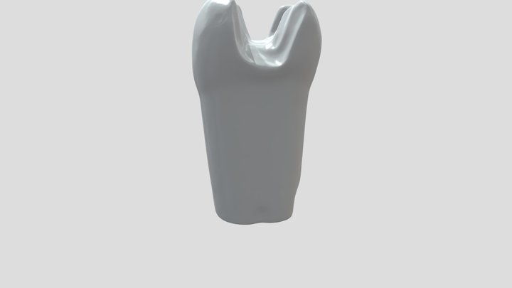 ToothModel 3D Model