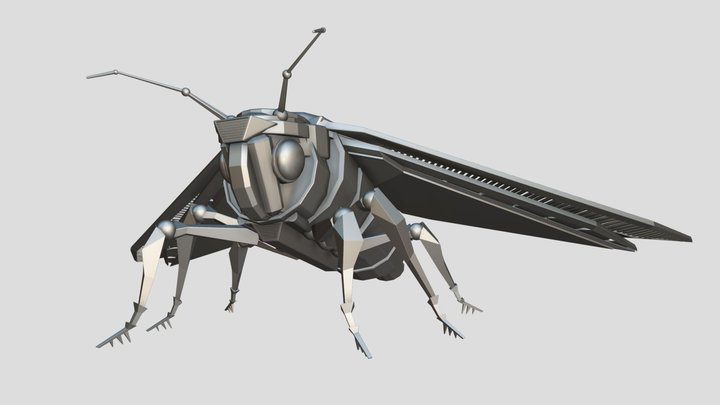 moth 3D Model