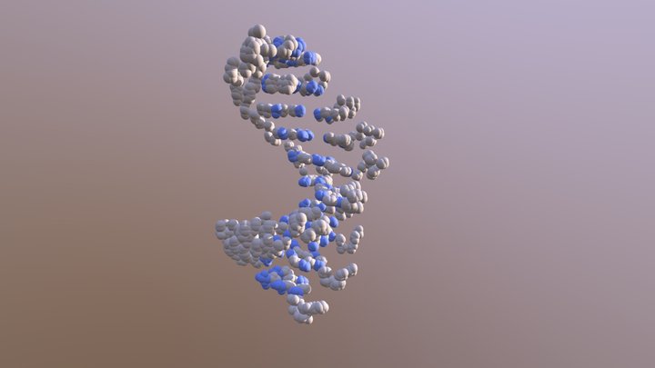 ADN-B 3D Model