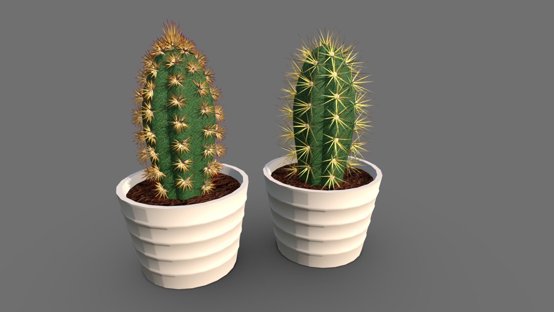 3D model Cactus - This is a 3D model of the Cactus. The 3D model is about two cactus in white pots.