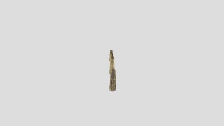 TireTrack0001 3D Model