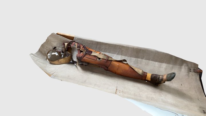 Protéza-legionářský vlak 3D Model