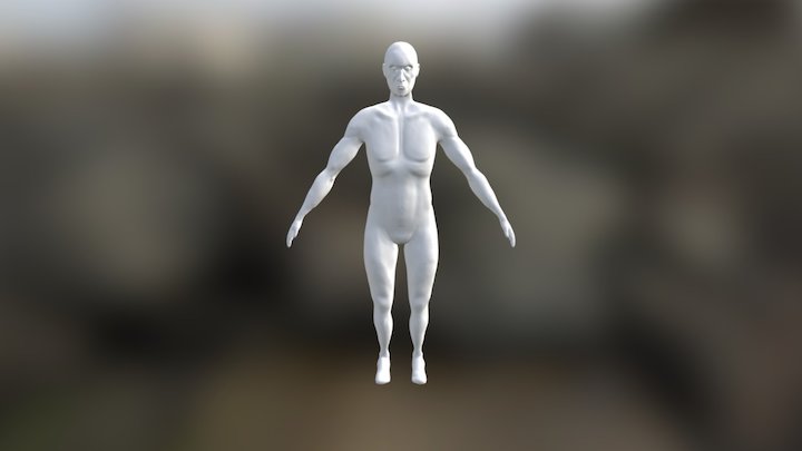 Anatomy Study - Eustácio 3D Model