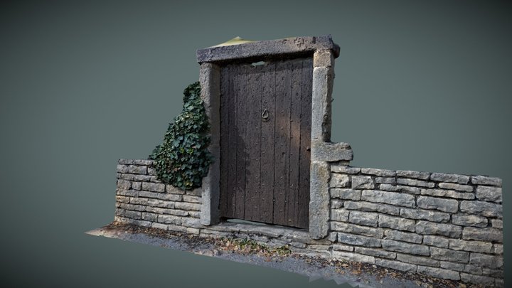 Old door 3D Model