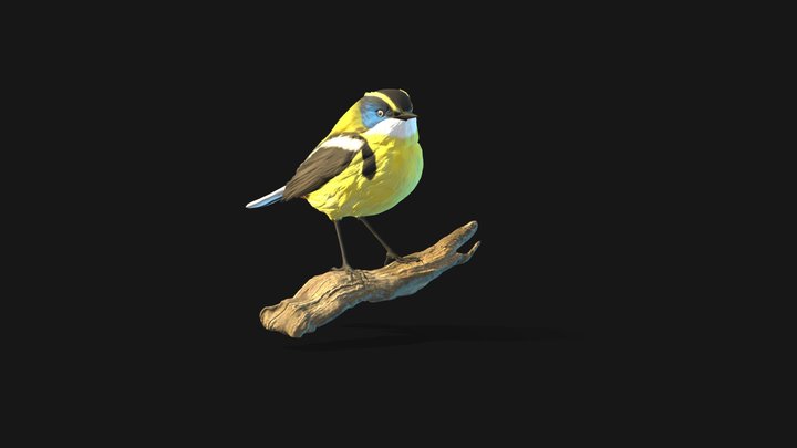 7colores 3D Model