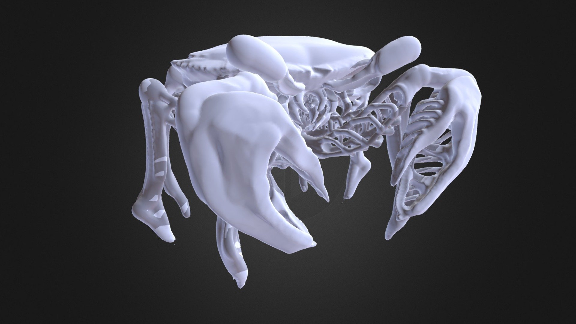 Crab