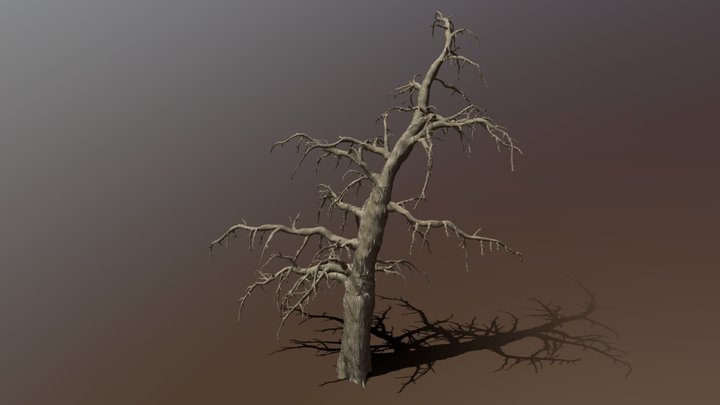 Old Pine (high-poly)