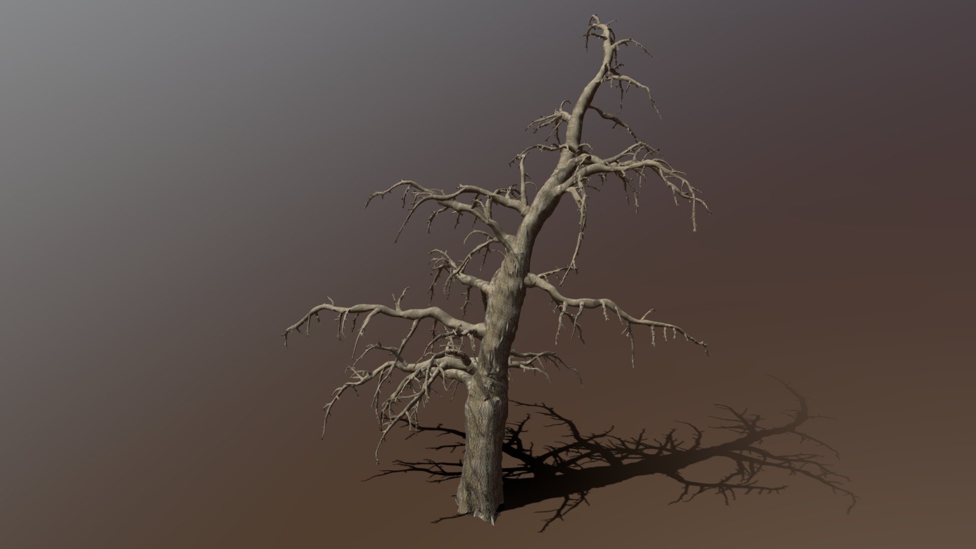 Old Pine (high-poly) - Download Free 3D model by Sereib [6255627 ...