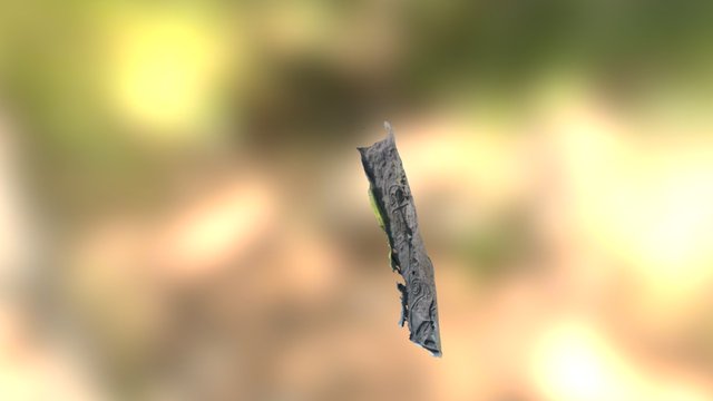 Friary Ruins-Dingle Ireland 3D Model