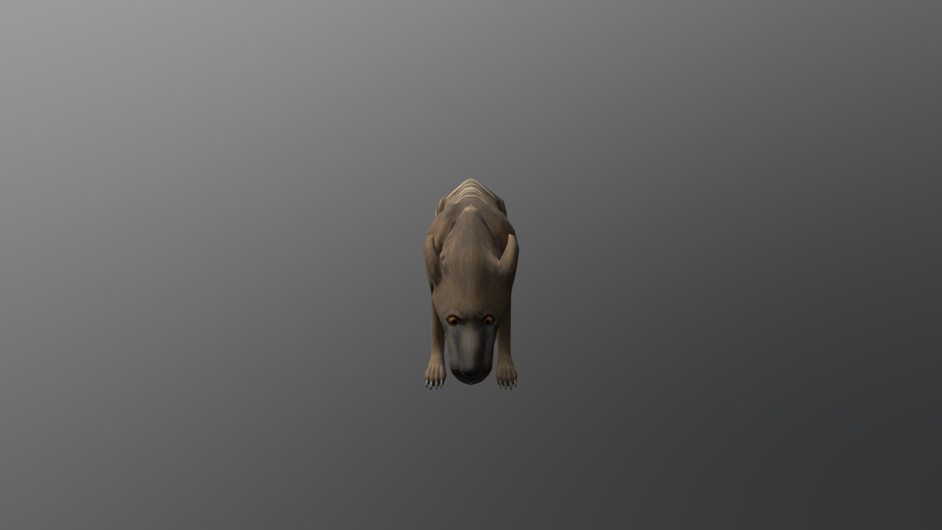 Hyaenodon