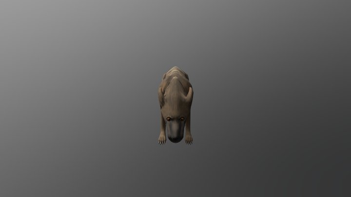 Hyaenodon 3D Model