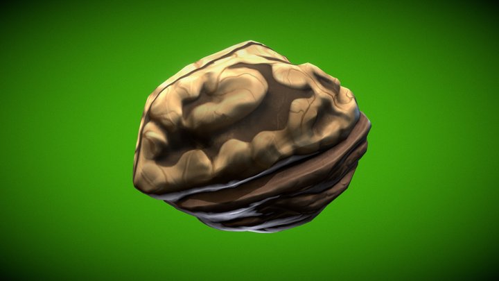 Walnut | Rock 3D Model