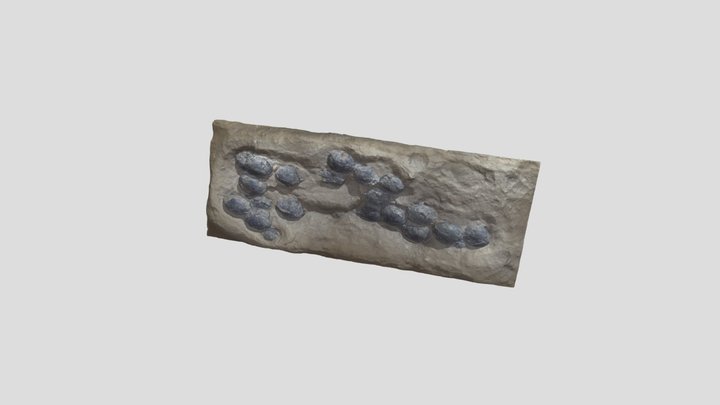 Model posta Dinosfera 3D Model