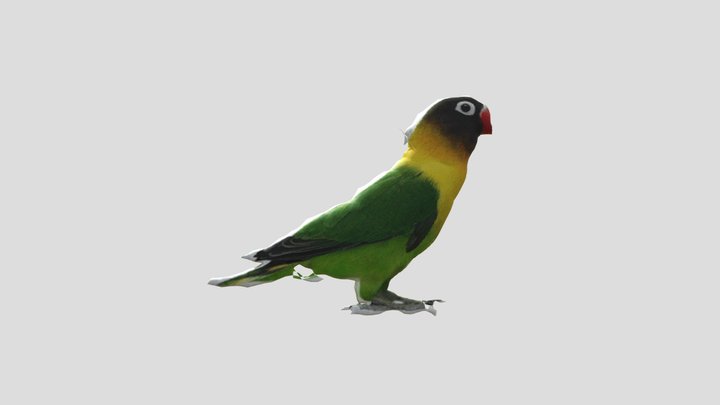 belajar 1 3D Model