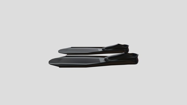 Flippers Exported 3D Model