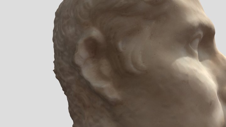 6 nov augustus head model 3D Model