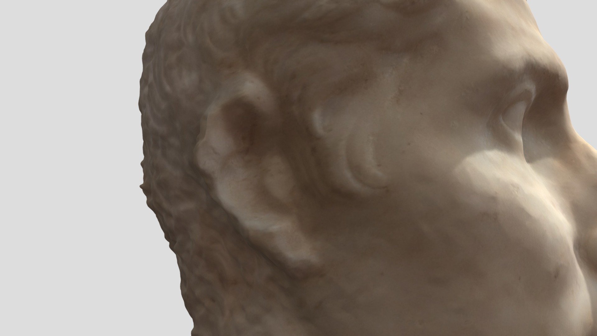 6 nov augustus head model