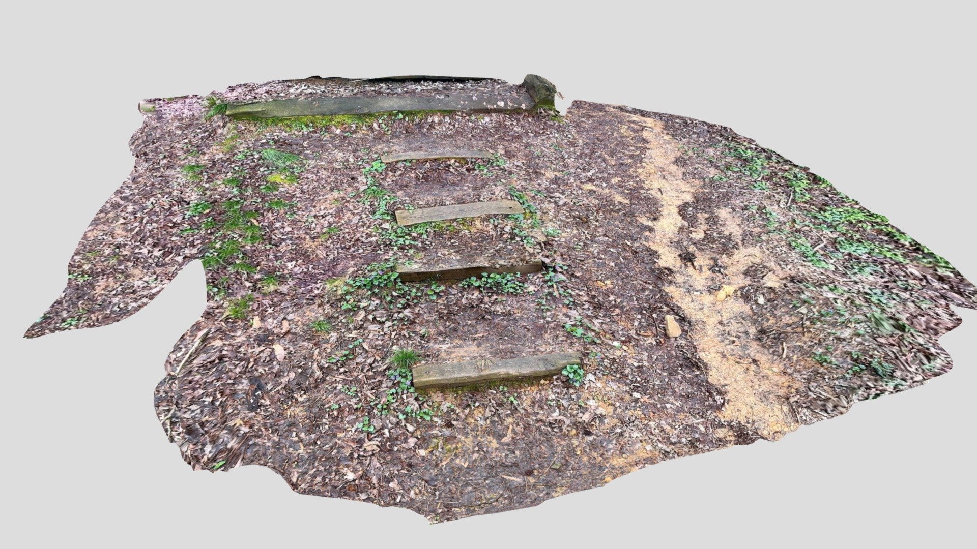 Rotten Steps-poly