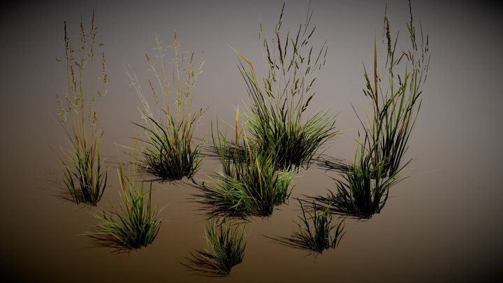 Real Bush 3D Model