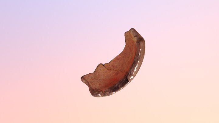 Fragment of barreled pottery with a rye ornament 3D Model