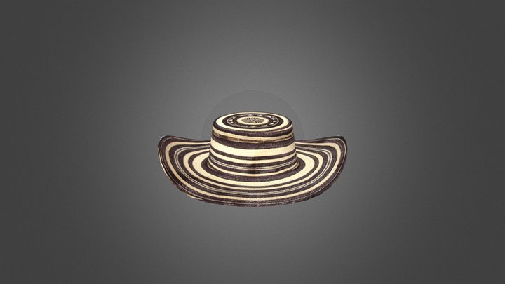 Sombrero Vueltiao Colombia 3D Model