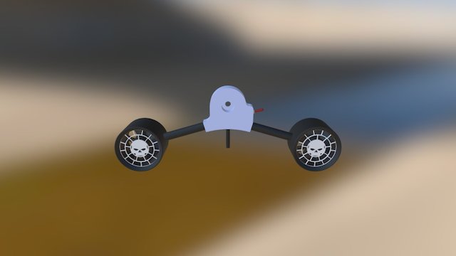 ward skull 3D Model