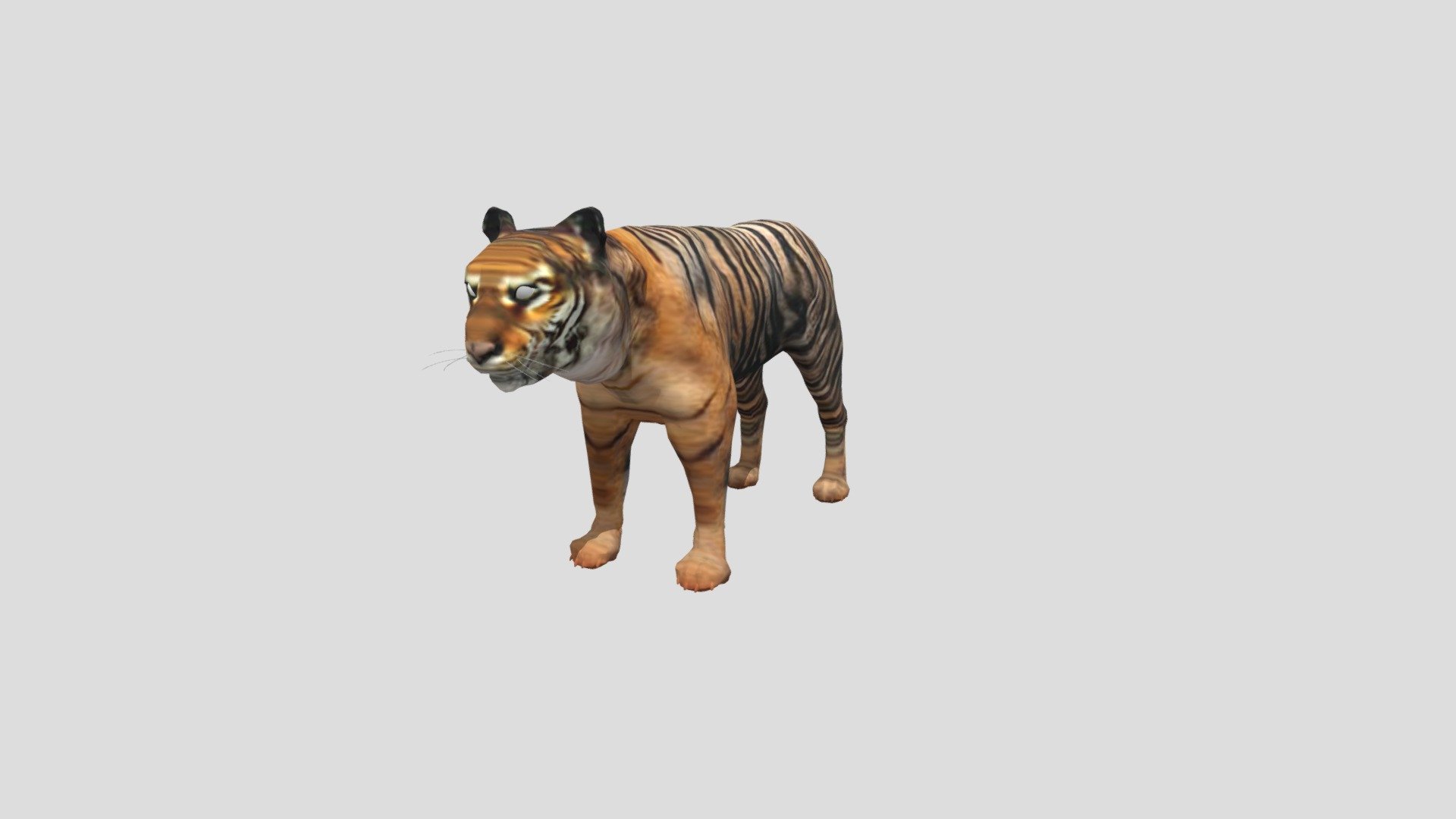 Tiger 3D models - Sketchfab