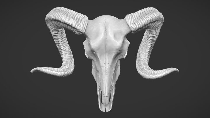 Ram Skull Pendant - 3D print 3D Model