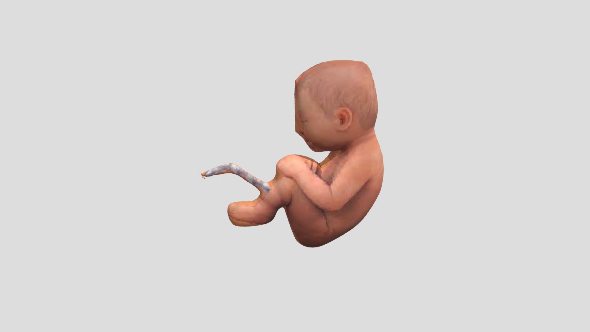 36 W