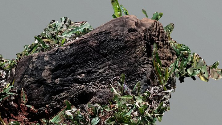 Volcanic rock of Piumhi - Brazil 3D Model