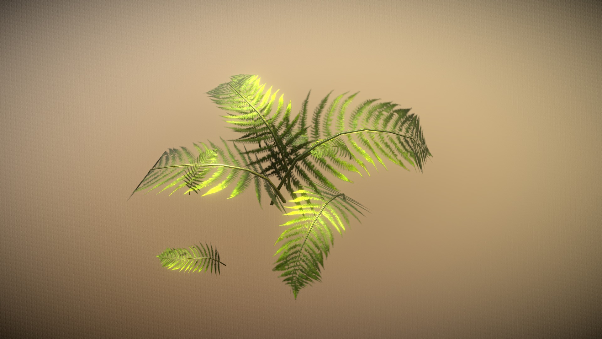 3D model Plant - This is a 3D model of the Plant. The 3D model is about a plant with leaves.