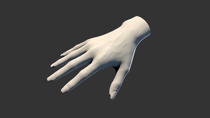 Female Hand Sculpt 1 3D Model