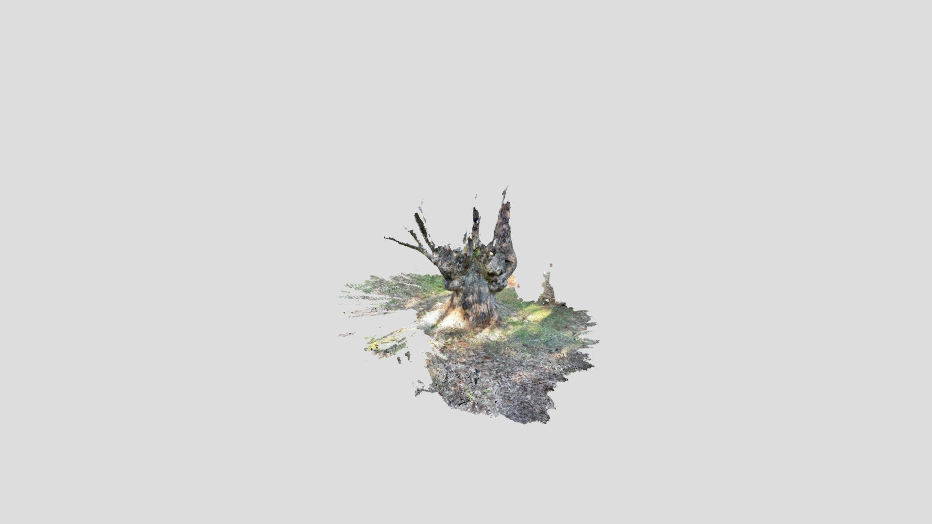 Untitled Scan