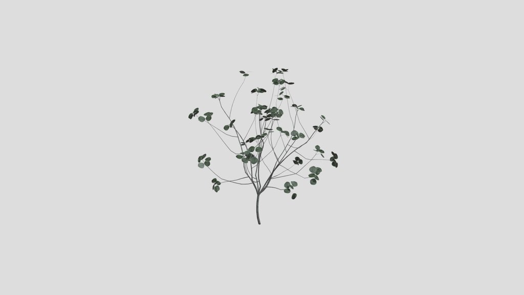 Wild Bush With Red Leafs