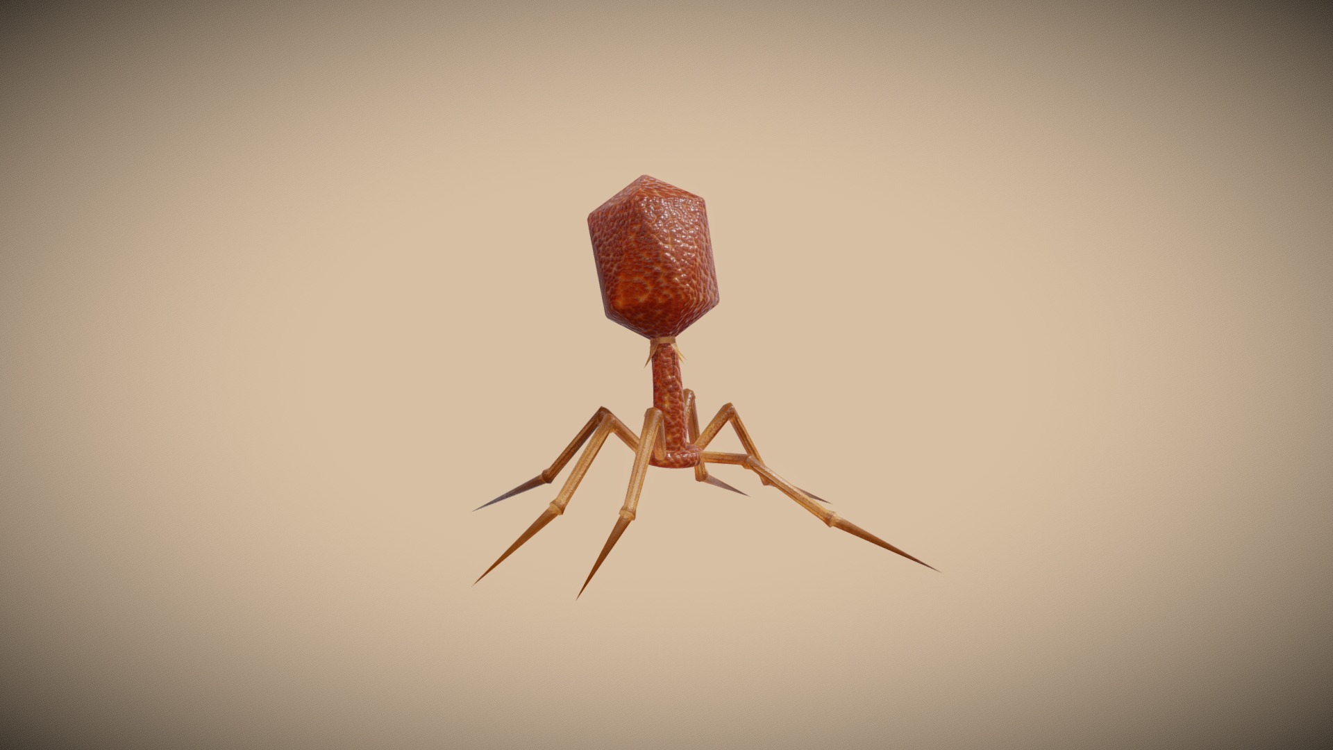 3D model Bacteriophage for Realtime – Animated - This is a 3D model of the Bacteriophage for Realtime - Animated. The 3D model is about a small wooden bug.