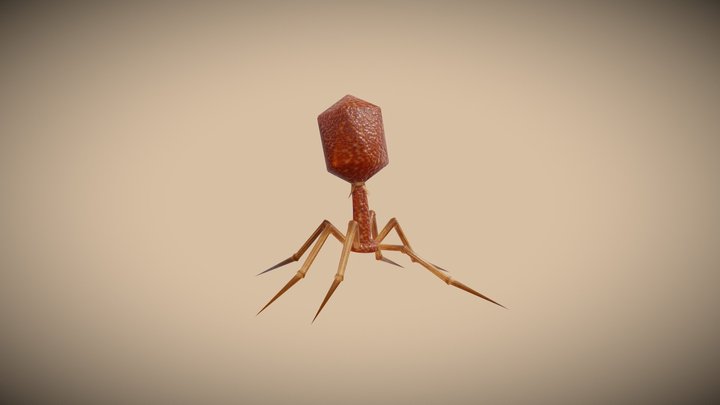 Bacteriophage for Realtime - Animated 3D Model
