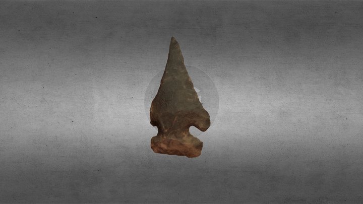 Artifact 9 3D Model