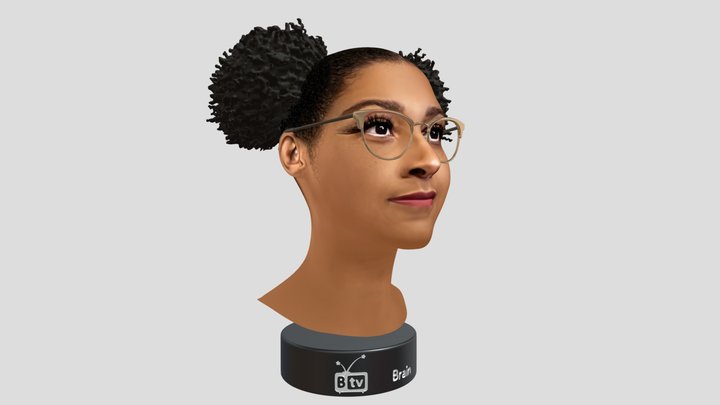 Givembrain 3D Model